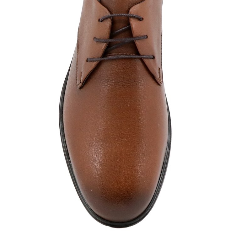 Pantofi derby bărbați TheZeus maro cognac din piele 2105bp77720co
